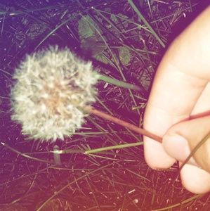 Meet your Posher, Michaela